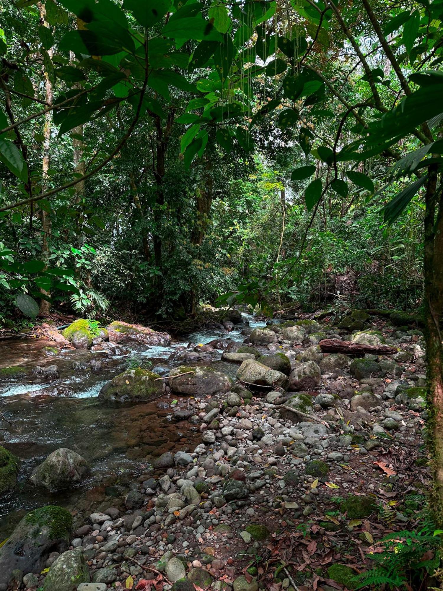 Cabanas Rio Escondido En La Fortuna Zewnętrze zdjęcie