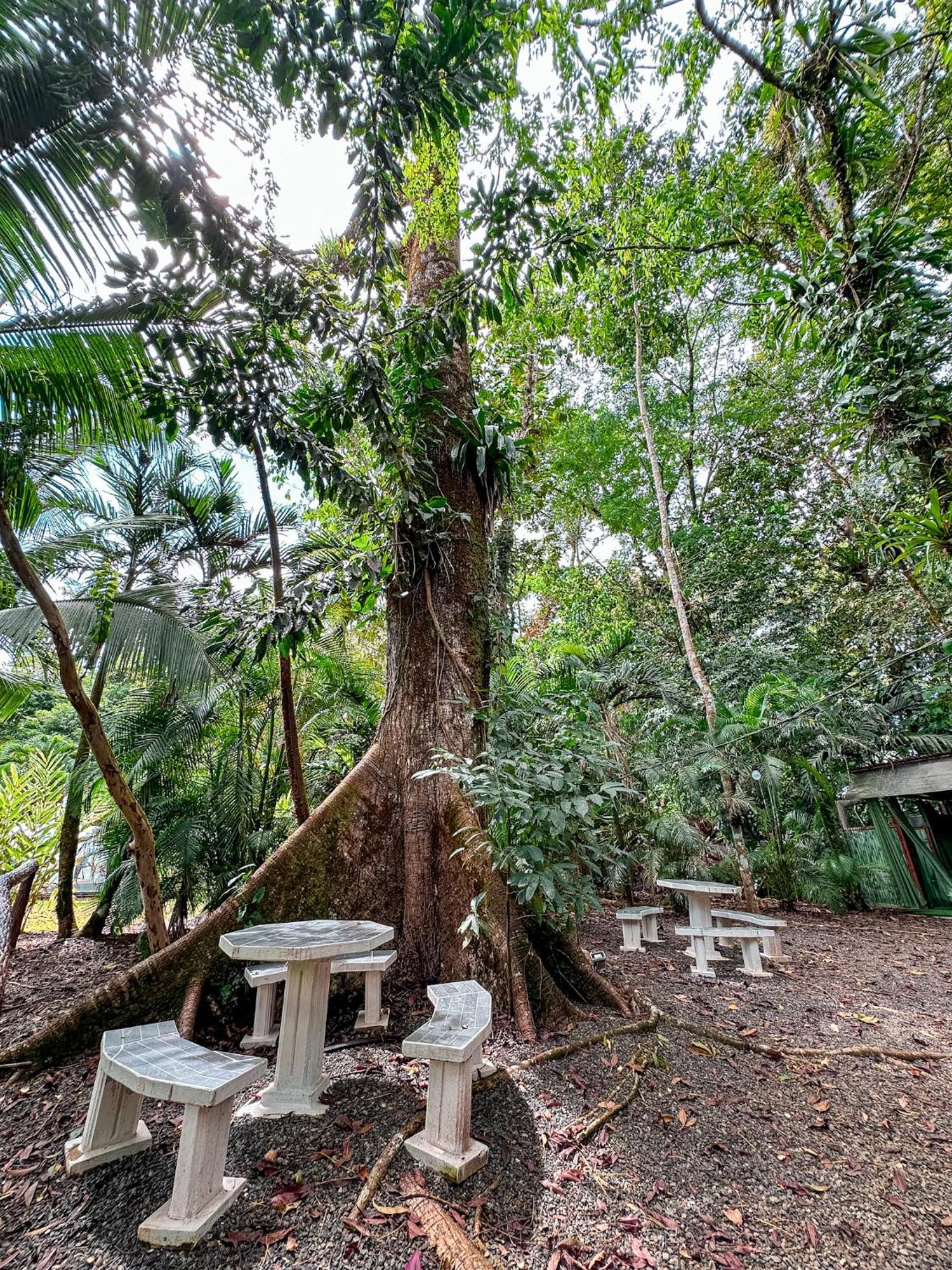 Cabanas Rio Escondido En La Fortuna Zewnętrze zdjęcie