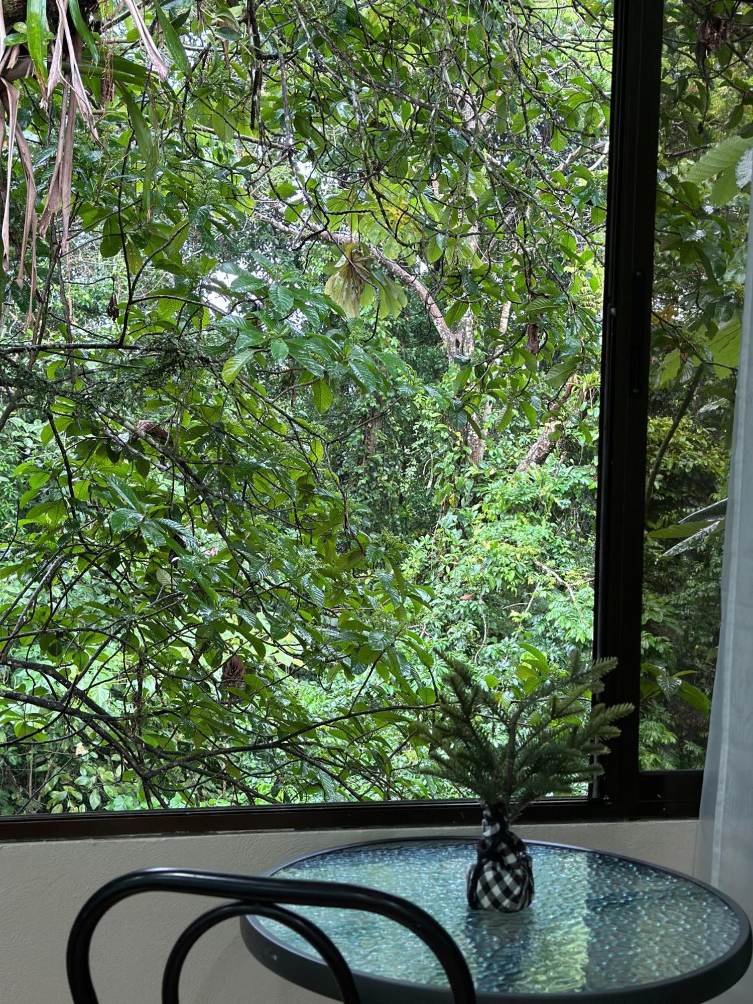 Cabanas Rio Escondido En La Fortuna Zewnętrze zdjęcie